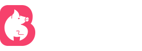 911网爆